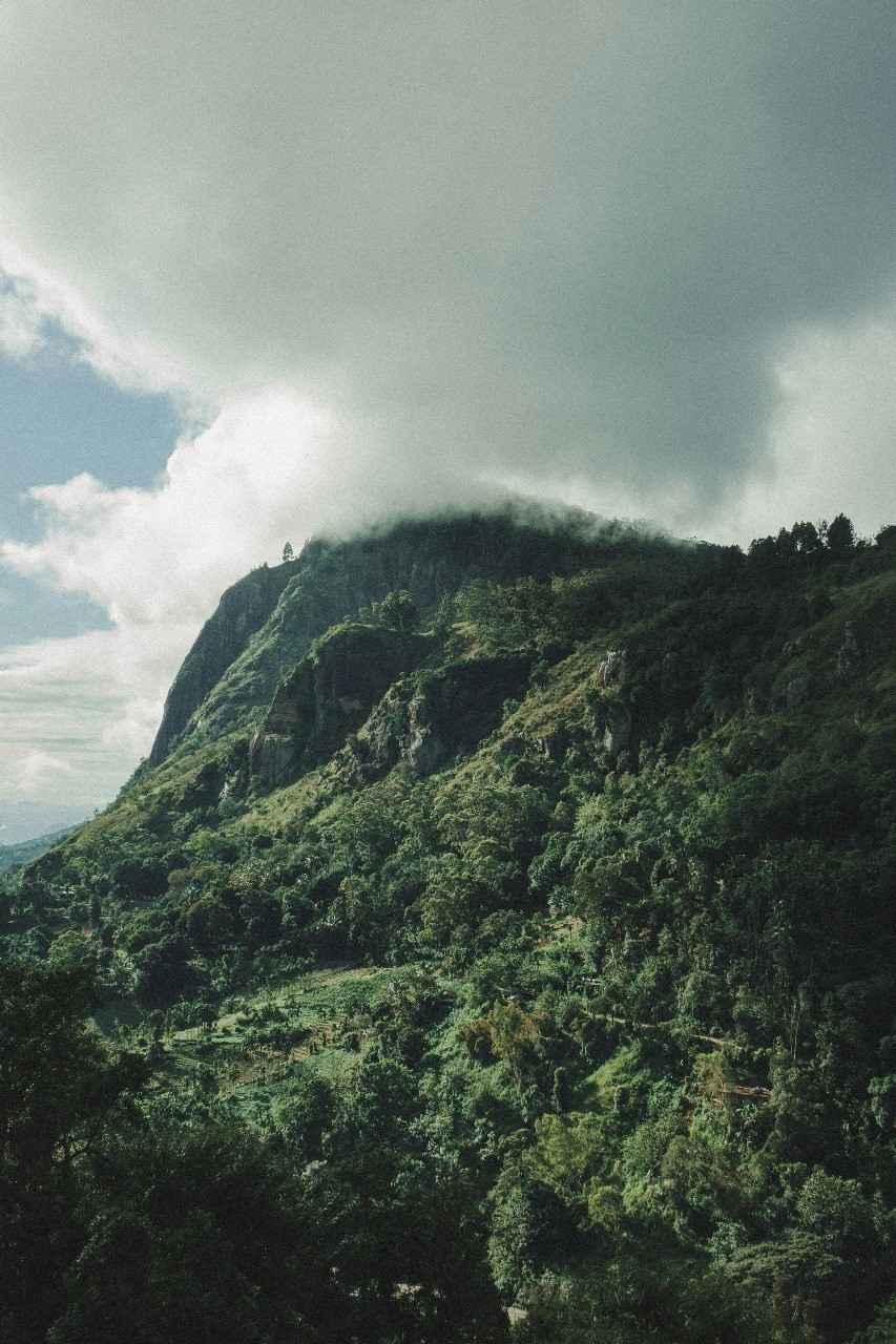 Ella Sri Lanka Travel Guide 2026 - Best places to visit
